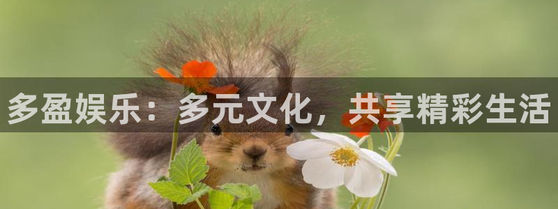 南宫益达娱乐