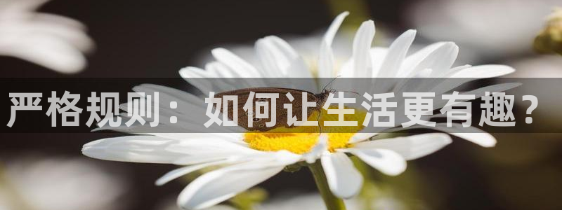 南宫益达娱乐官网版：严格规则：如何让生活更有趣？