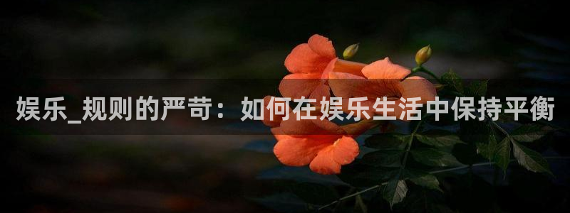 益达娱乐电子有限公司：娱乐_规则的严苛：如何在娱乐生活中保持平衡