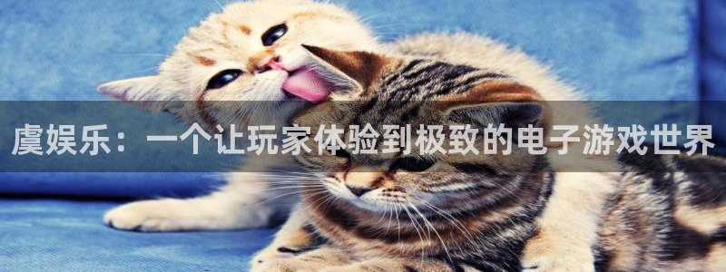益达娱乐体育1招商：虞娱乐：一个让玩家体验到极致的电子游戏世界