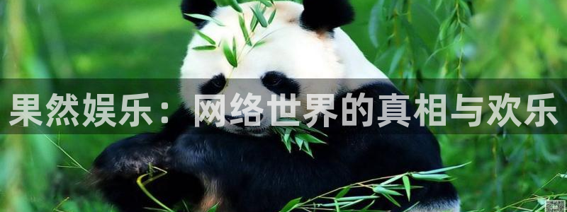 益达娱乐注册官网入口：果然娱乐：网络世界的真相与欢乐