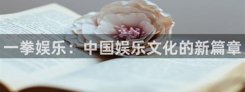 益达娱乐免费注册：一拳娱乐：中国娱乐文化的新篇章