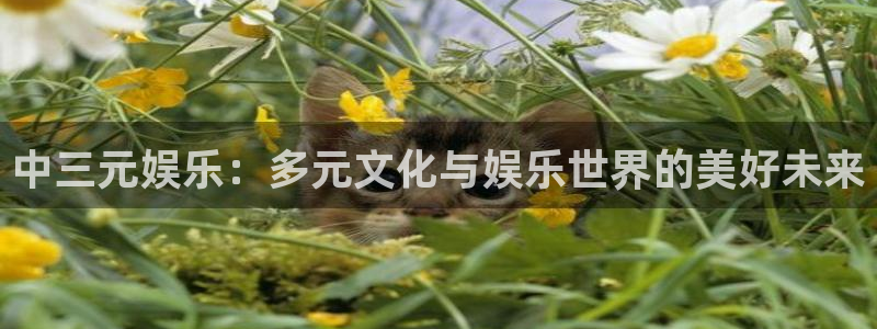 益达娱乐体育合法嘛：中三元娱乐：多元文化与娱乐世界的美好未来
