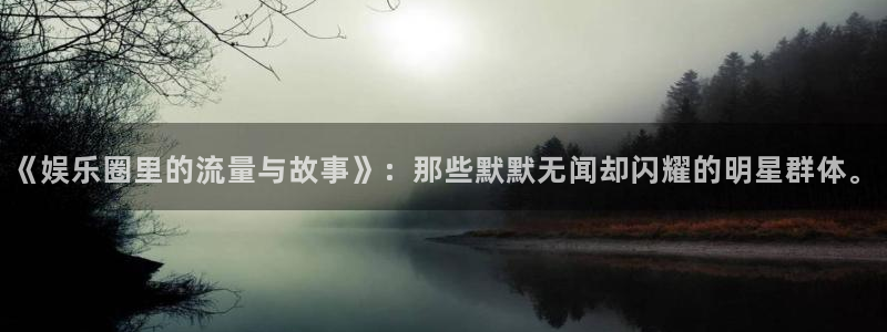 益达娱乐体育和杏耀是哪个公司的：《娱乐圈里的流量与故事》：那些默默无闻却闪耀的明