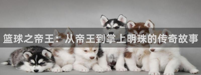 益达娱乐注册网站app：篮球之帝王：从帝王到掌上明珠的传奇故事