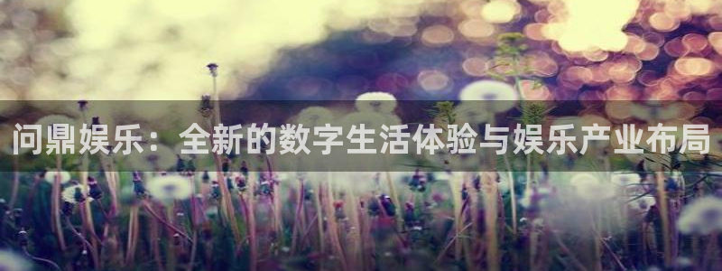 南宫益达娱乐官网版：问鼎娱乐：全新的数字生活体验与娱乐产业布局