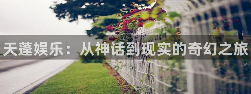 益达娱乐官网下载：天蓬娱乐：从神话到现实的奇幻之旅
