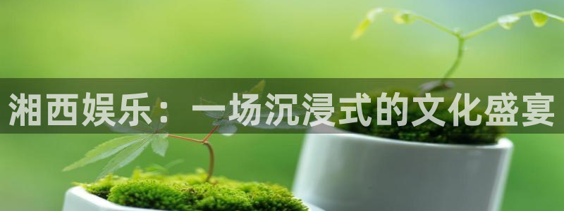 益达娱乐有梦你就来：湘西娱乐：一场沉浸式的文化盛宴