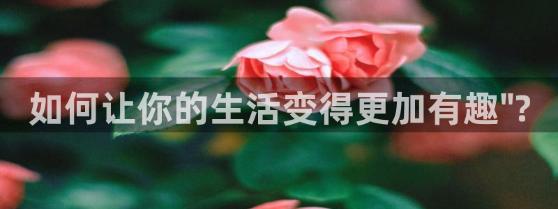 益达娱乐登录注册：如何让你的生活变得更加有趣\