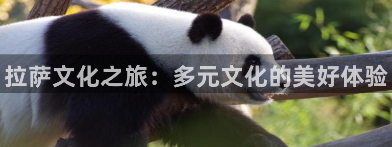 益达娱乐vk：拉萨文化之旅：多元文化的美好体验