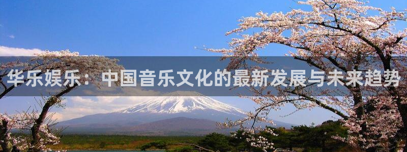 益达娱乐平台总代理：华乐娱乐：中国音乐文化的最新发展与未来趋势