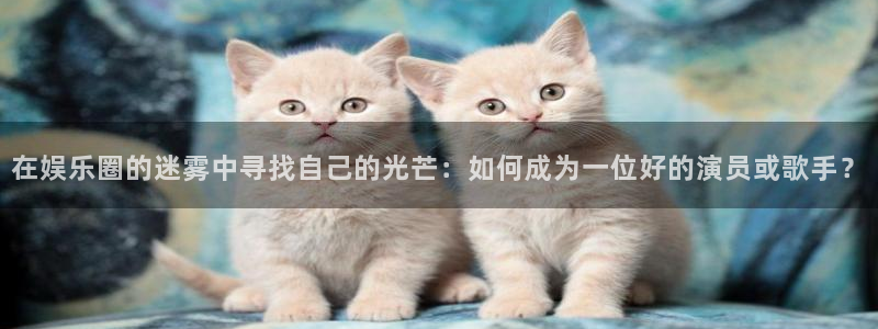 益达娱乐平台在线注册：在娱乐圈的迷雾中寻找自己的光芒：如何成为一位好的演员或歌手