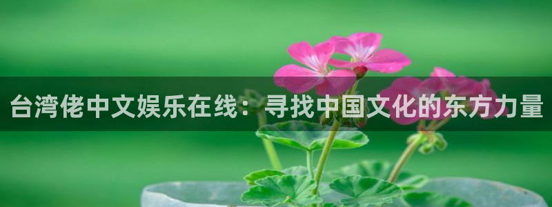 益达娱乐2平台：台湾佬中文娱乐在线：寻找中国文化的东方力量