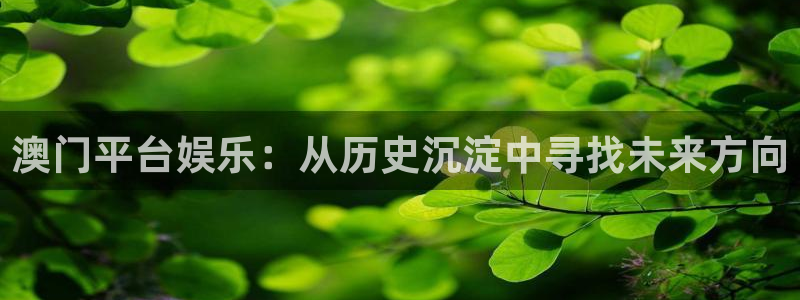 益达娱乐哪个游戏好爆：澳门平台娱乐：从历史沉淀中寻找未来方向