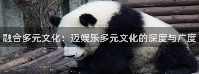 益达娱乐加拿大官网：融合多元文化：迈娱乐多元文化的深度与广度