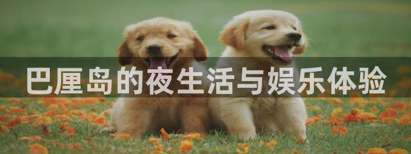 益达娱乐下载官网入口在哪：巴厘岛的夜生活与娱乐体验