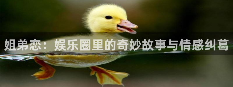 益达娱乐注册：姐弟恋：娱乐圈里的奇妙故事与情感纠葛