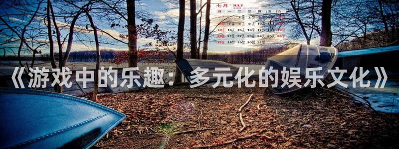 益达娱乐代理注册官网入口：《游戏中的乐趣：多元化的娱乐文化》